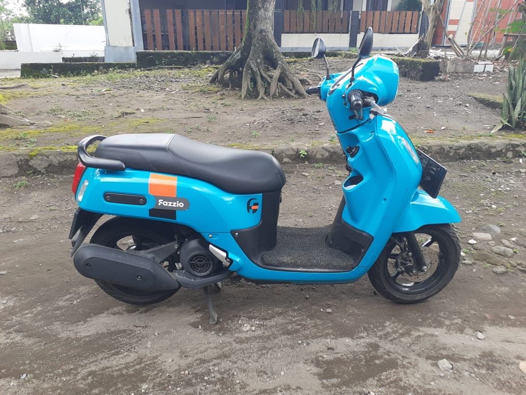 Fazzio Hijau 2022